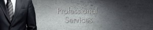 Professional Services